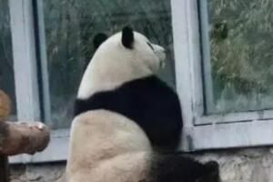 西直门三太子是什么意思详情【EV棋牌】-EV棋牌