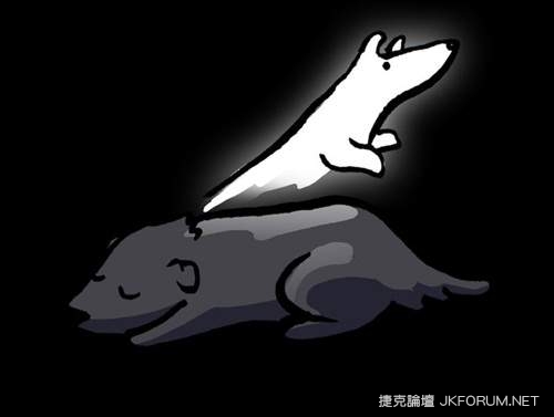 飼主真情告白《給毛小孩的一封信》【EV棋牌】-EV棋牌