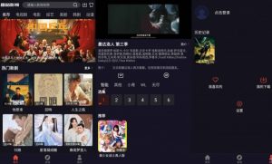 [安卓软件]番茄影视v2.0.8  资源影视应用，绿化版，高清流畅影视资源【EV棋牌】-EV棋牌