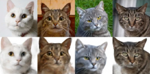 谷歌升级 NeRF，仅需一张 2D 图像即可生成 3D 模型【EV棋牌】-EV棋牌