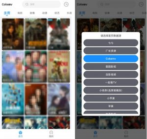 【安卓/追剧/绿化版】闪电侠_1.0.6,tvbox手机版,去广告,绿化版极致体验!【EV棋牌】-EV棋牌