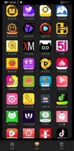 [精品破解] 小视频软件集合，最新版&内置100个APP&你喜欢的不止一款！【EV棋牌】-EV棋牌
