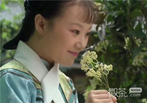 流朱让甄嬛闻石楠花的香气是什么梗详情【EV棋牌】-EV棋牌