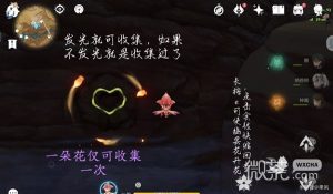 《原神》6朵忧昙花位置展示一览【EV棋牌】-EV棋牌