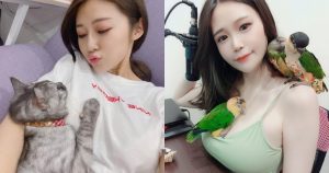 讓人羨慕的毛小孩!JKF 最美寵物主人來啦!【EV棋牌】-EV棋牌