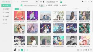 [电脑软件/音乐]魔音，VIP破解版【EV棋牌】-EV棋牌