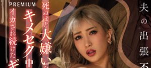 AIKA作品PRED-405介绍及封面预览【EV棋牌】-EV棋牌