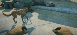 ECS 获得第三阶段 SBIR 项目,将为美军提供军犬 VR 伤亡护理培训【EV棋牌】-EV棋牌