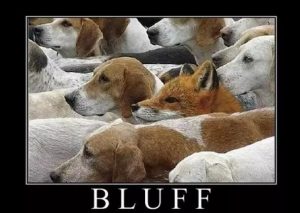 【EV扑克】教学:如何判断一个牌面是否适合用来诈唬【EV棋牌】-EV棋牌