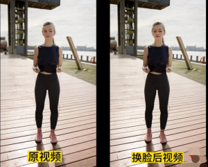 [精品软件]黑科技-AI人脸替换工具离线版V1.2 （图片+视频）【EV棋牌】-EV棋牌