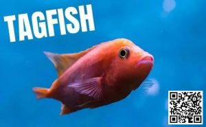 【EV扑克】策略教学:你是一条紧凶的“鱼”吗?对照这7点看看【EV棋牌】-EV棋牌