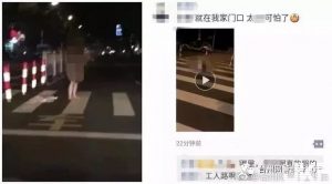 太扯！裸熟女躺斑馬線「頭下腳上」自摸　超激2分鐘影片網瘋傳！【EV棋牌】-EV棋牌