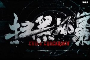 扫黑风暴剧情不少人表示太黑暗，但是是据真实故事改编【EV棋牌】-EV棋牌