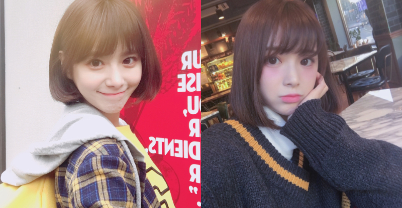 連證件照都美翻！超萌「犬系妹子」顏值太高　水汪汪大眼電力超強！【EV棋牌】-EV棋牌