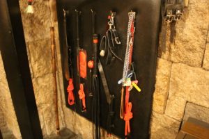 你也有機會住在格雷的小房間！以SM為主題的飯店　道具都幫你準備好了【EV棋牌】-EV棋牌