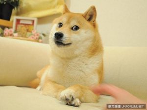 精神汙染神煩狗小包，穿再好看都會被搶走焦點【EV棋牌】-EV棋牌