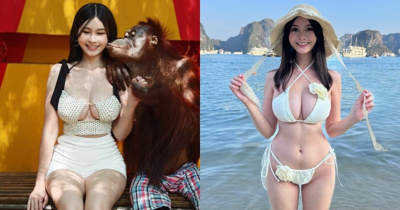 正妹護理師「Judy」爆乳遊泰國,被紅毛猩猩抱著猛吸!