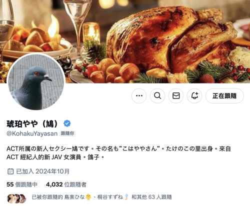 G乳大型新人现身！那只「鳩」的真面目是？【EV棋牌】-EV棋牌