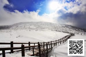 【EV扑克】素白绒雪铺满济州,SUPER CUP掀起新年热潮!开幕赛200人次26人晋级!一起见证冠军产生!【SUPER CUP济州】【EV棋牌】-EV棋牌