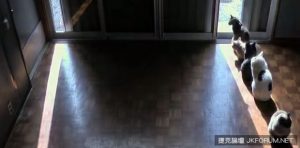 路邊驚見老菸槍日晷，光這一根電線桿不夠消暑啊【EV棋牌】-EV棋牌