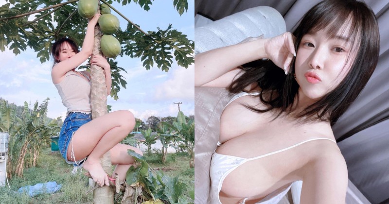 巨乳小姐姐背「兩顆大木瓜」爬樹摘木瓜　打算以形補形嗎？【EV棋牌】-EV棋牌