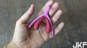 女性興奮的泉源不僅來自「神奇小肉芽」！法國小學教材……3D列印技術解開女體的奧妙【EV棋牌】-EV棋牌