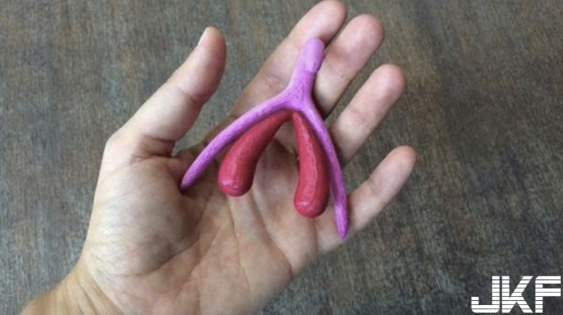 女性興奮的泉源不僅來自「神奇小肉芽」！法國小學教材……3D列印技術解開女體的奧妙【EV棋牌】-EV棋牌