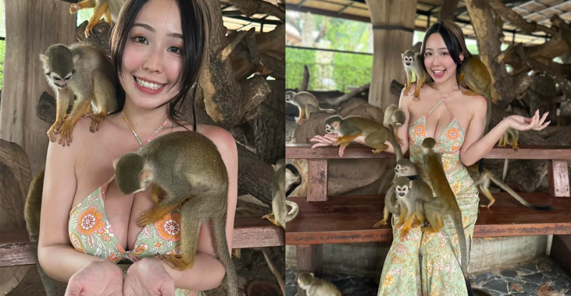 一群幸福的猴子！「希希」造訪美功鐵道，「挺出傲乳」差點撞火車！【EV棋牌】-EV棋牌