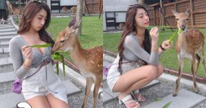 動物農場驚見「爆乳美腿妹」甜餵小鹿斑比,超療癒畫面讓人瘋狂心動!【EV棋牌】-EV棋牌