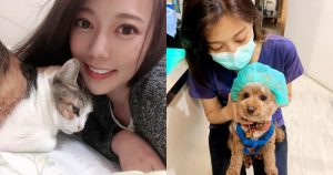 全台最正獸醫師「魏立寧」,笑容親切甜美糖度超高,網友瘋狂羨慕貓狗:想當禽獸!【EV棋牌】-EV棋牌