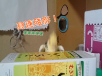 狂！小玄鳳變搖~~滾~~鸚鵡，經典神曲無違和ROCK！【EV棋牌】-EV棋牌