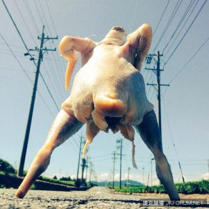《無碼露點寫真集》這位模特兒太新潮了 我實在IN不起來……【EV棋牌】-EV棋牌